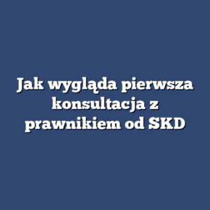 Jak wygląda pierwsza konsultacja z prawnikiem od SKD
