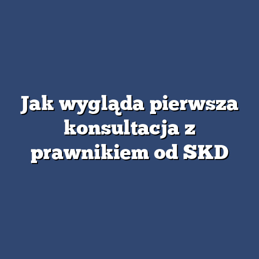 Jak wygląda pierwsza konsultacja z prawnikiem od SKD